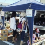 Thumbnail of post image 019