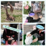Thumbnail of post image 160