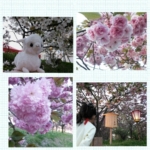 Thumbnail of post image 196