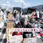 Thumbnail of post image 184