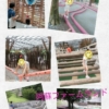 Thumbnail of related posts 069