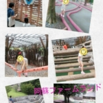 Thumbnail of post image 025