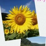 Thumbnail of post image 066