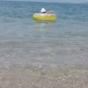 Thumbnail of related posts 014