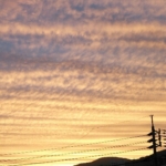 Thumbnail of post image 121