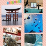 Thumbnail of post image 200