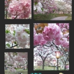 Thumbnail of post image 094