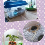 Thumbnail of post image 064