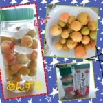 Thumbnail of post image 061