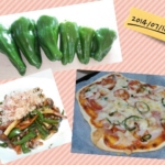 Thumbnail of post image 105