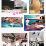 Thumbnail of post image 178
