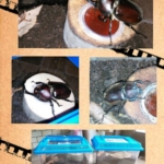Thumbnail of post image 028