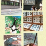 Thumbnail of post image 070