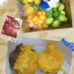 Thumbnail of post image 065