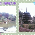 Thumbnail of post image 005