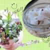 Thumbnail of related posts 071