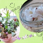 Thumbnail of post image 113