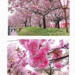 Thumbnail of post image 147