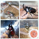 Thumbnail of post image 078