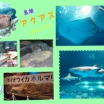 Thumbnail of post image 020