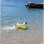 Thumbnail of post image 043