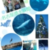 Thumbnail of related posts 175