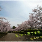 Thumbnail of post image 017