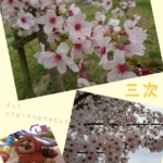 Thumbnail of post image 088