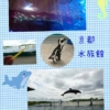 Thumbnail of related posts 048