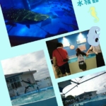 Thumbnail of post image 156