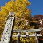 Thumbnail of post image 030