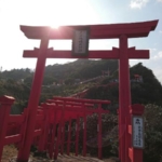 Thumbnail of post image 000