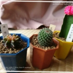 Thumbnail of post image 149