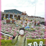 Thumbnail of post image 173