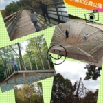 Thumbnail of post image 038