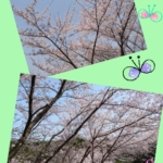Thumbnail of post image 052