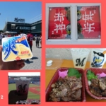 Thumbnail of post image 193
