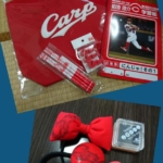 Thumbnail of post image 028