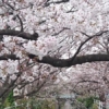 Thumbnail of related posts 013