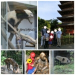 Thumbnail of post image 032