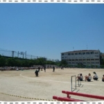 Thumbnail of post image 149