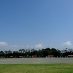 Thumbnail of post image 151
