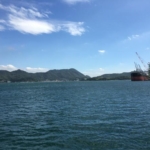 Thumbnail of post image 174