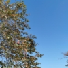 Thumbnail of related posts 040