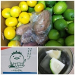 Thumbnail of post image 008