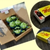 Thumbnail of related posts 003