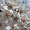 Thumbnail of related posts 050