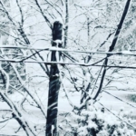 Thumbnail of post image 045