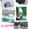 Thumbnail of related posts 114