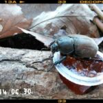 Thumbnail of related posts 140